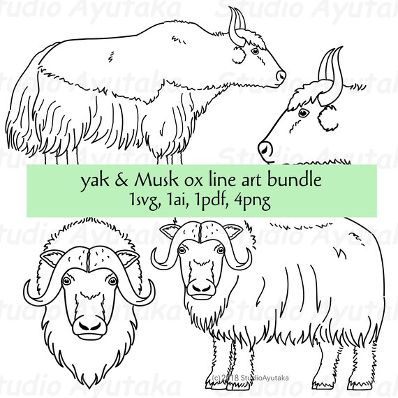 Yak and musk ox line art bundle svg ai pdf png