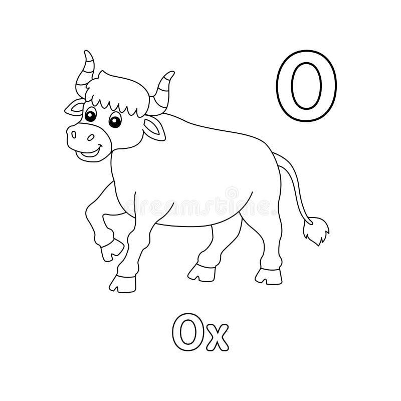 Ox colouring page stock illustrations â ox colouring page stock illustrations vectors clipart