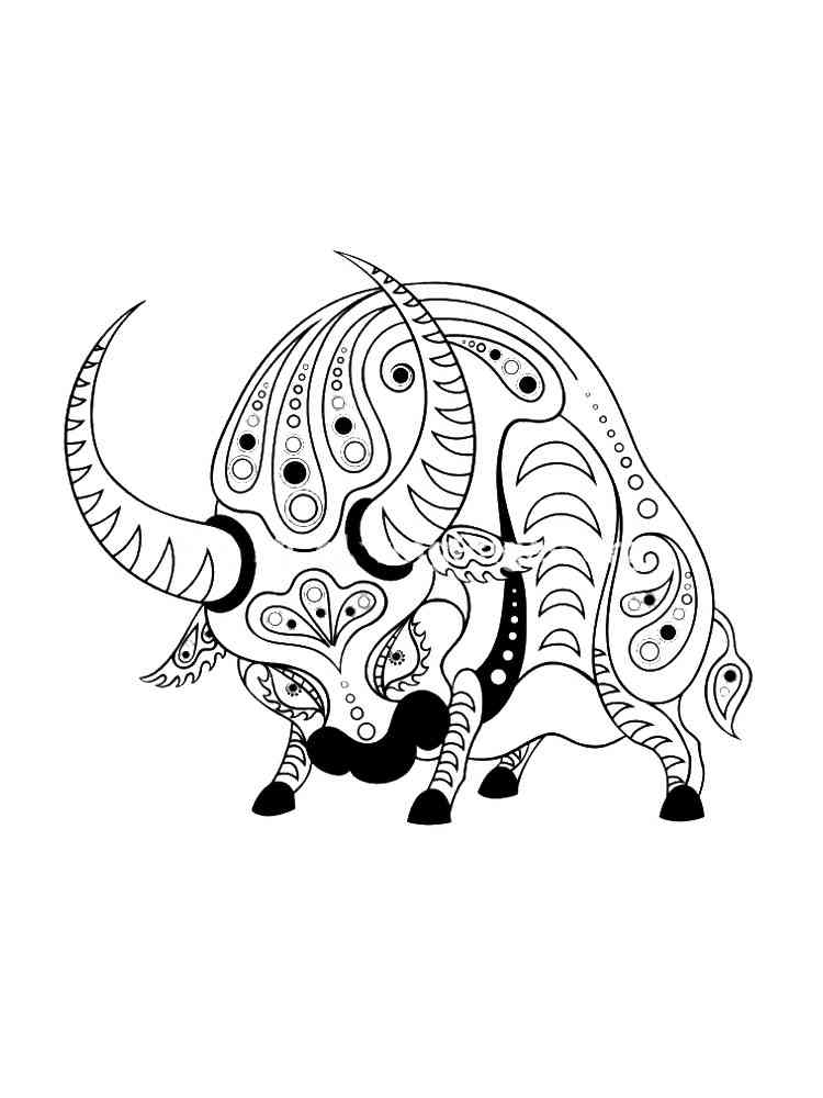 Bull coloring pages for adults