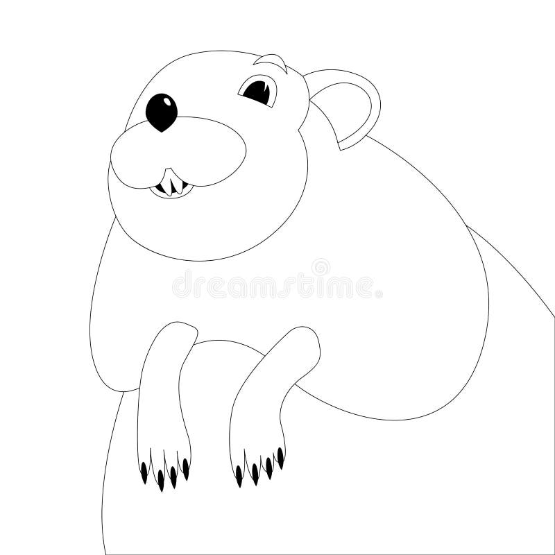 Cartoon muskrat face vector illustration lining draw stock vector