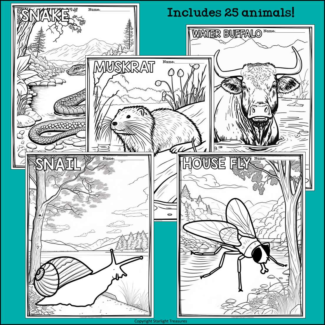 Wetland animals research posters coloring pages