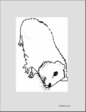 Coloring page guinea pig