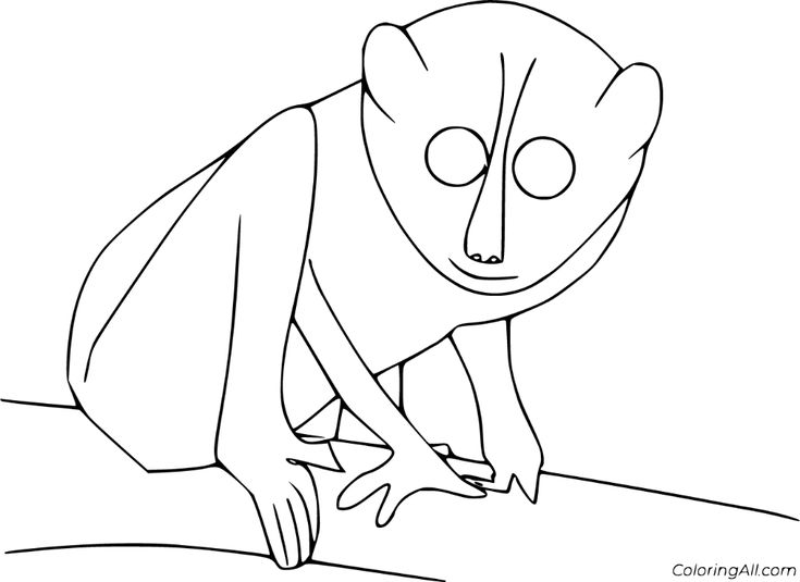 Free printable loris coloring pages easy to print from any device and automatically fit any paper size coloring pages loris slow loris