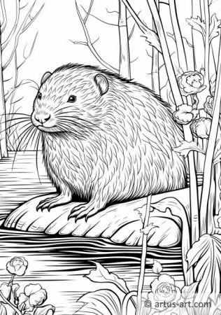 Muskrat coloring pages free download artus art