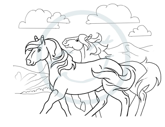 Wild horse coloring page set coloring pages horse coloring pages mustang coloring pages hand drawn coloring pages adult coloring page