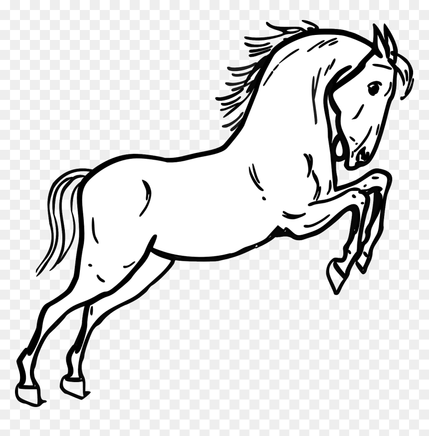 Mustang hoe coloring page hd png download