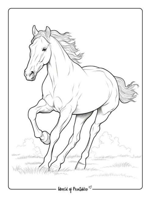 Horse coloring pages for kids adults