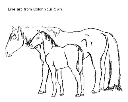 Nokota mustang mare and foal coloring page