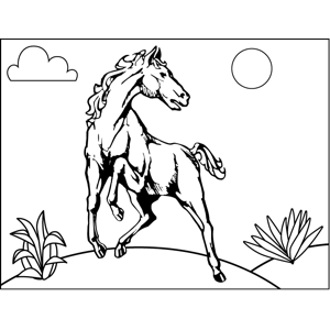 Rearing horse coloring page