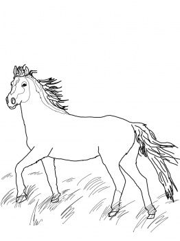 Mustang wild horse coloring page super coloring horse coloring pages wild horses horse coloring