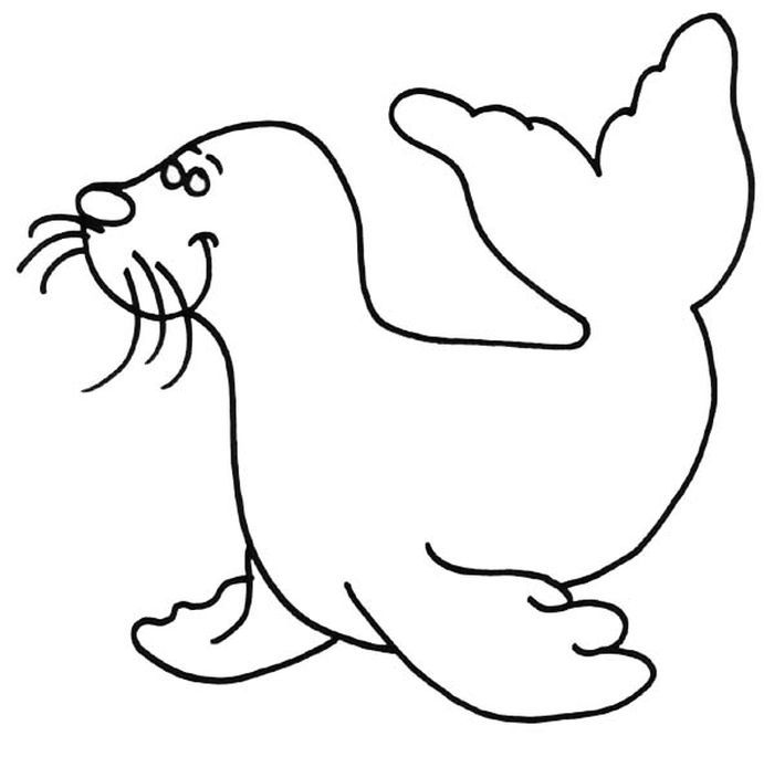 Printable seal coloring pages pdf