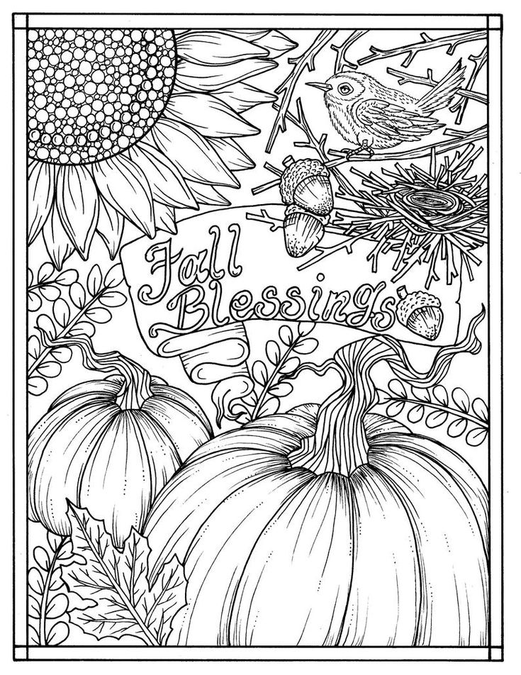 Pages fabulous fall digital downloads to color punpkins