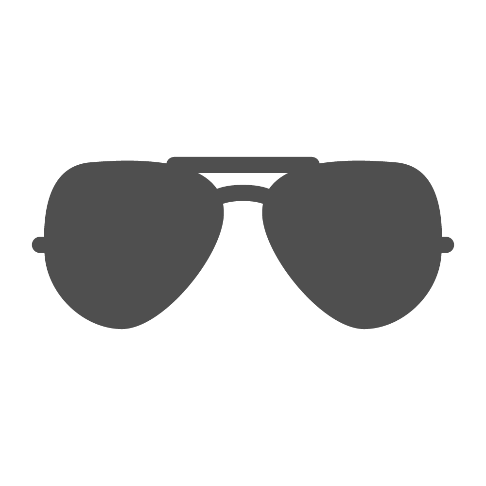 Pilot sunglasses â