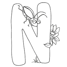 Top free printable letter n coloring pages online