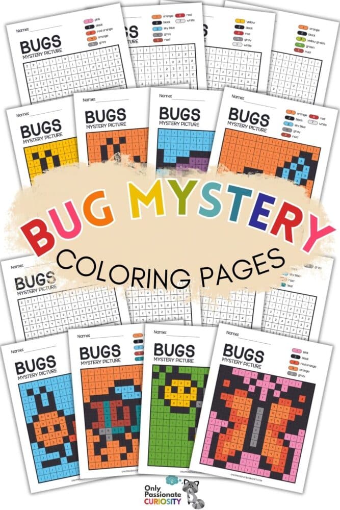 Bug mystery coloring pages