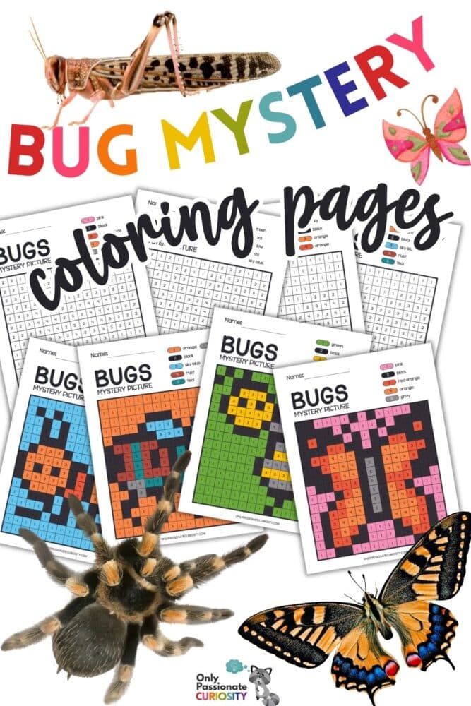 Bug mystery coloring pages