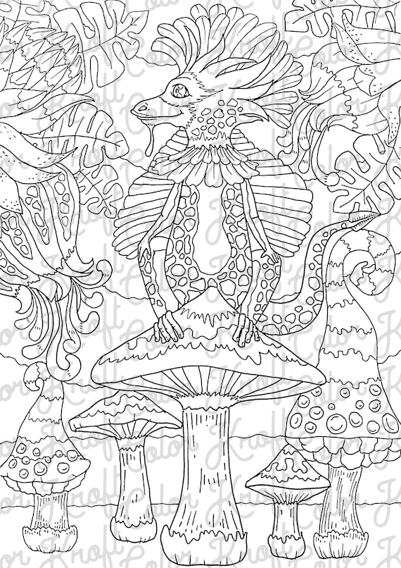 Mystical creature of the fairy garden printable coloring page digital download