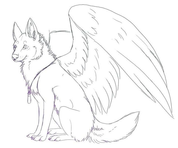Cute winged wolf coloring pages wolf colors puppy coloring pages wolf drawing