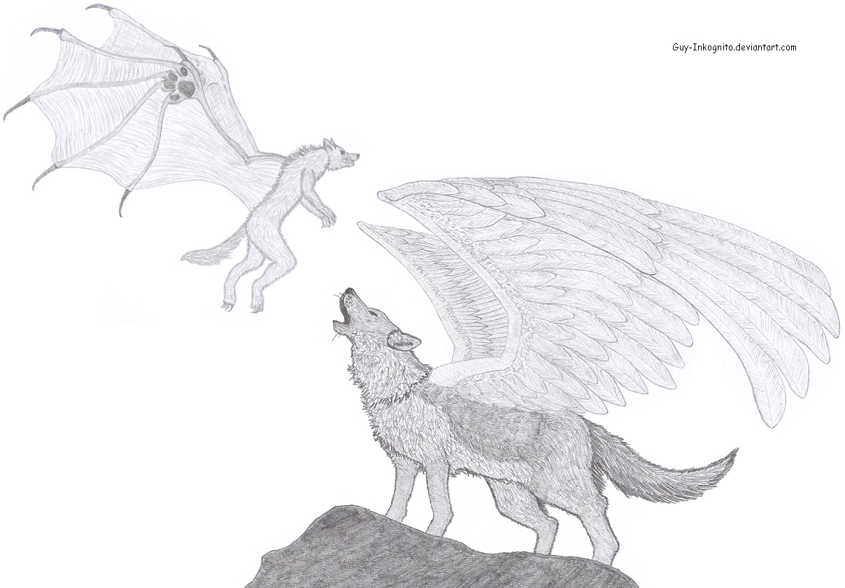 Winged wolf and werewolf by guy