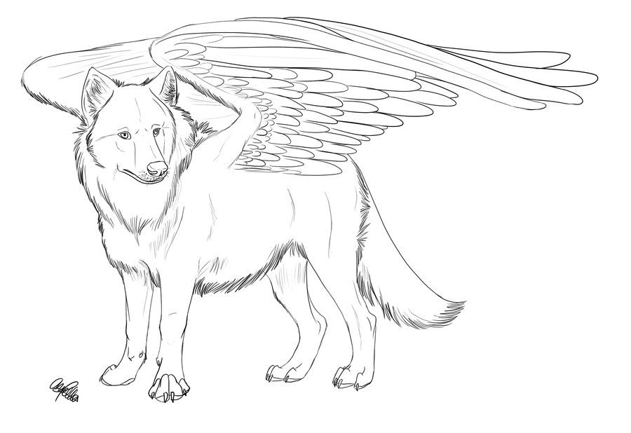 Winged wolf free lineart horse coloring pages animal coloring pages wolf drawing