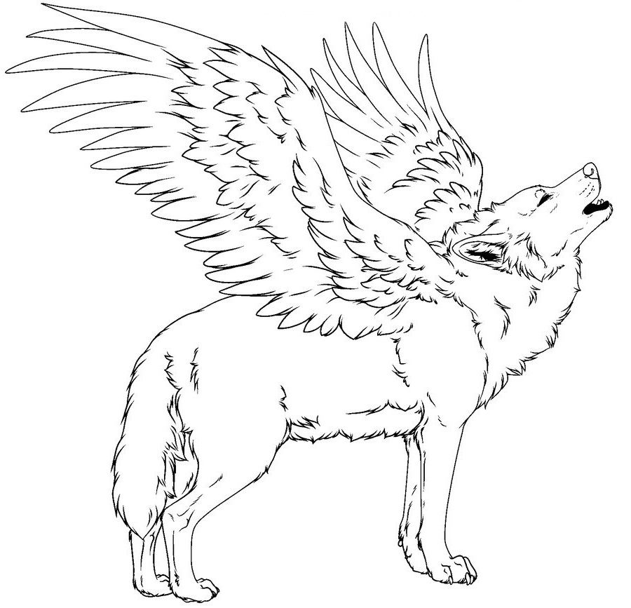 Printable coloring pages coloring pages animal coloring pages wolf drawing