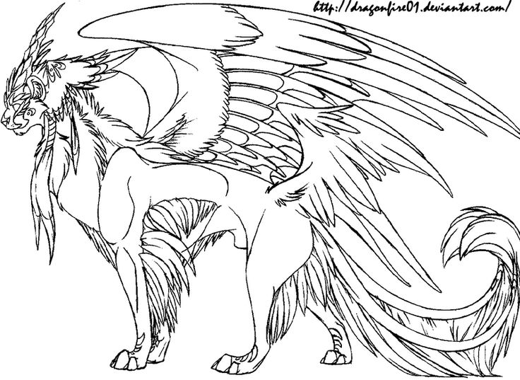 Cat creature lineart dragon coloring page mythical creatures drawings coloring book art