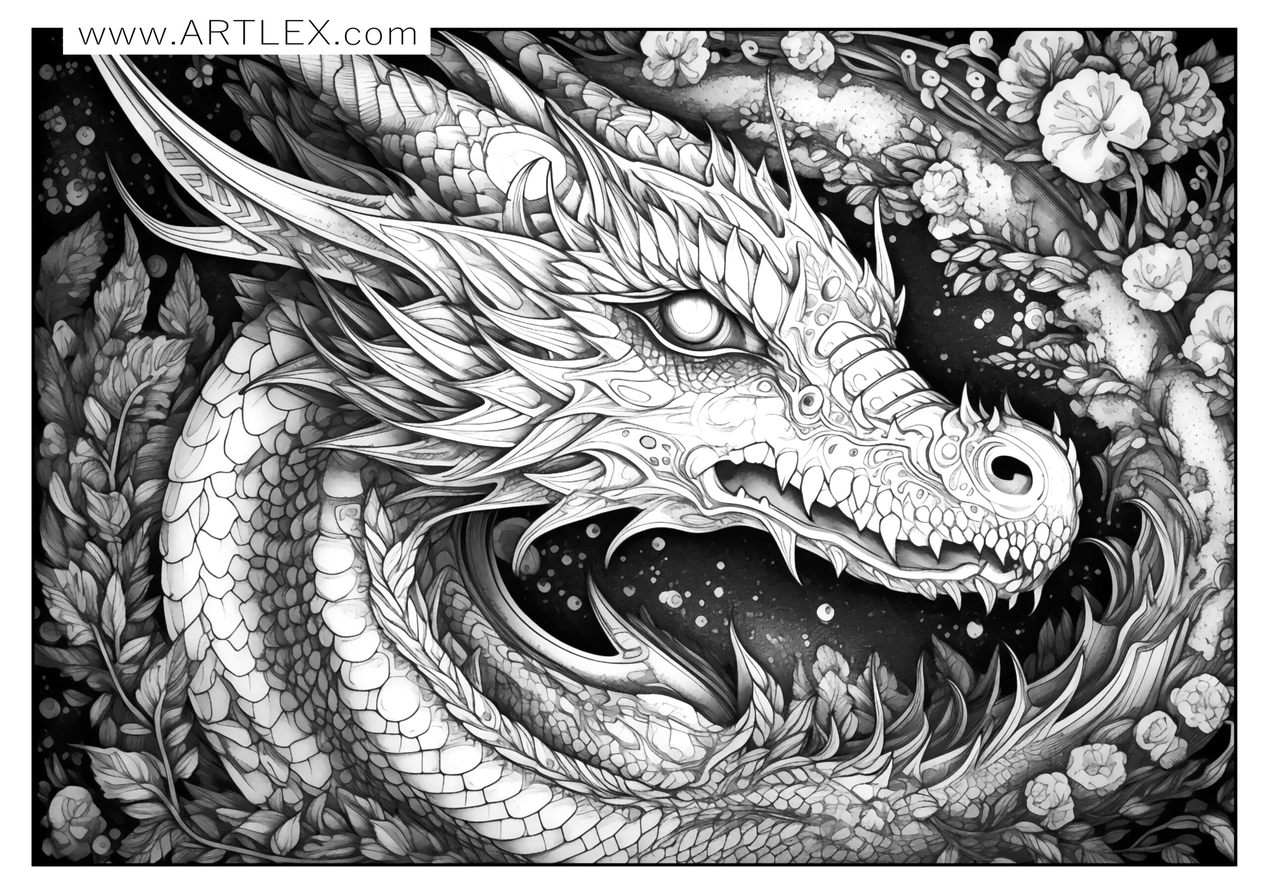 Free dragon coloring pages free printable â