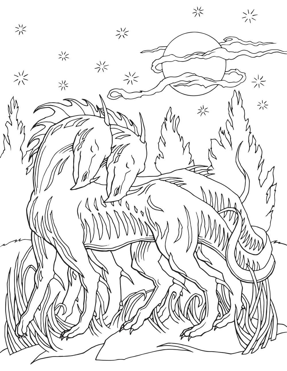 Adult coloring book dragon world