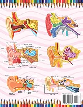 Ear anatomy coloring book human ear anatomy workbook for kids human ear anatomy coloring pages for kids toddlers teens human body students and activity book for kids toddlers publication sarkayniabell