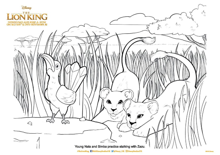 The lion king loring pages and printable activity sheets