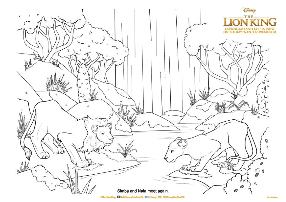 The lion king loring pages and printable activity sheets