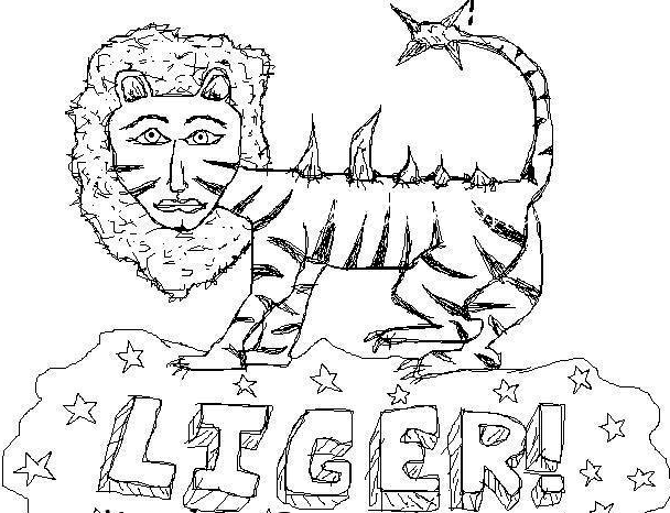 Diary of a geology student geologists love ligers too