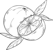 Oranges coloring pages free coloring pages