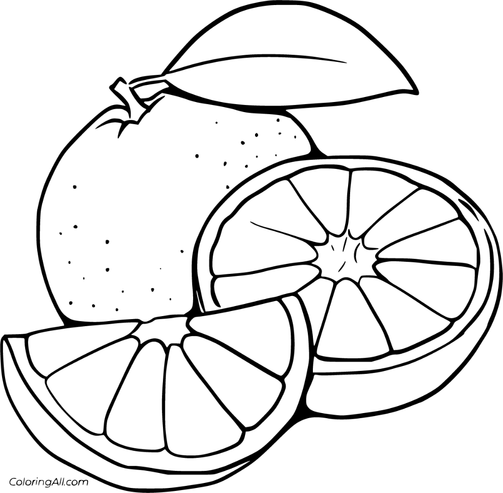 Free printable orange coloring pages in vector format easy to print from any device and automatâ fruit coloring pages coloring pages coloring pages for kids