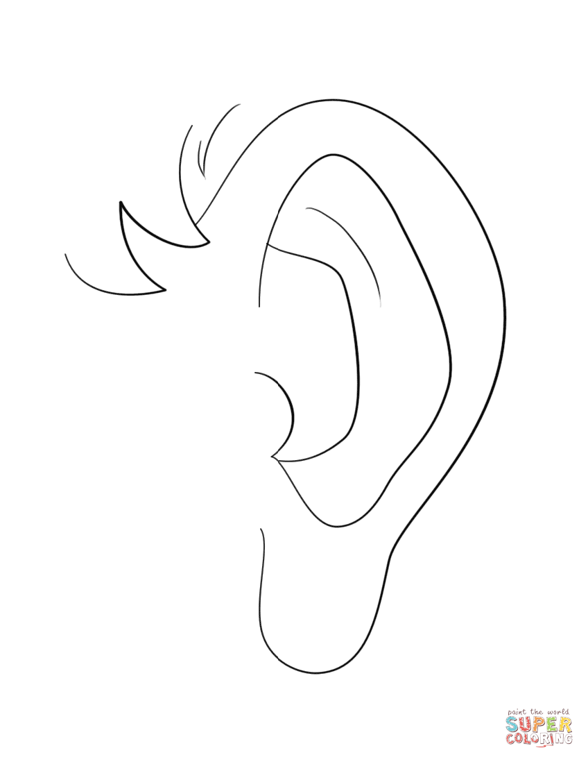 Human ear coloring page free printable coloring pages