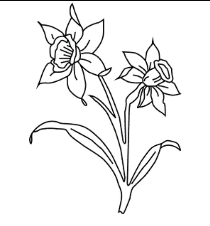 December birth flower tattoo idea narcissus birth flower tattoos narcissus flower tattoos flower tattoos