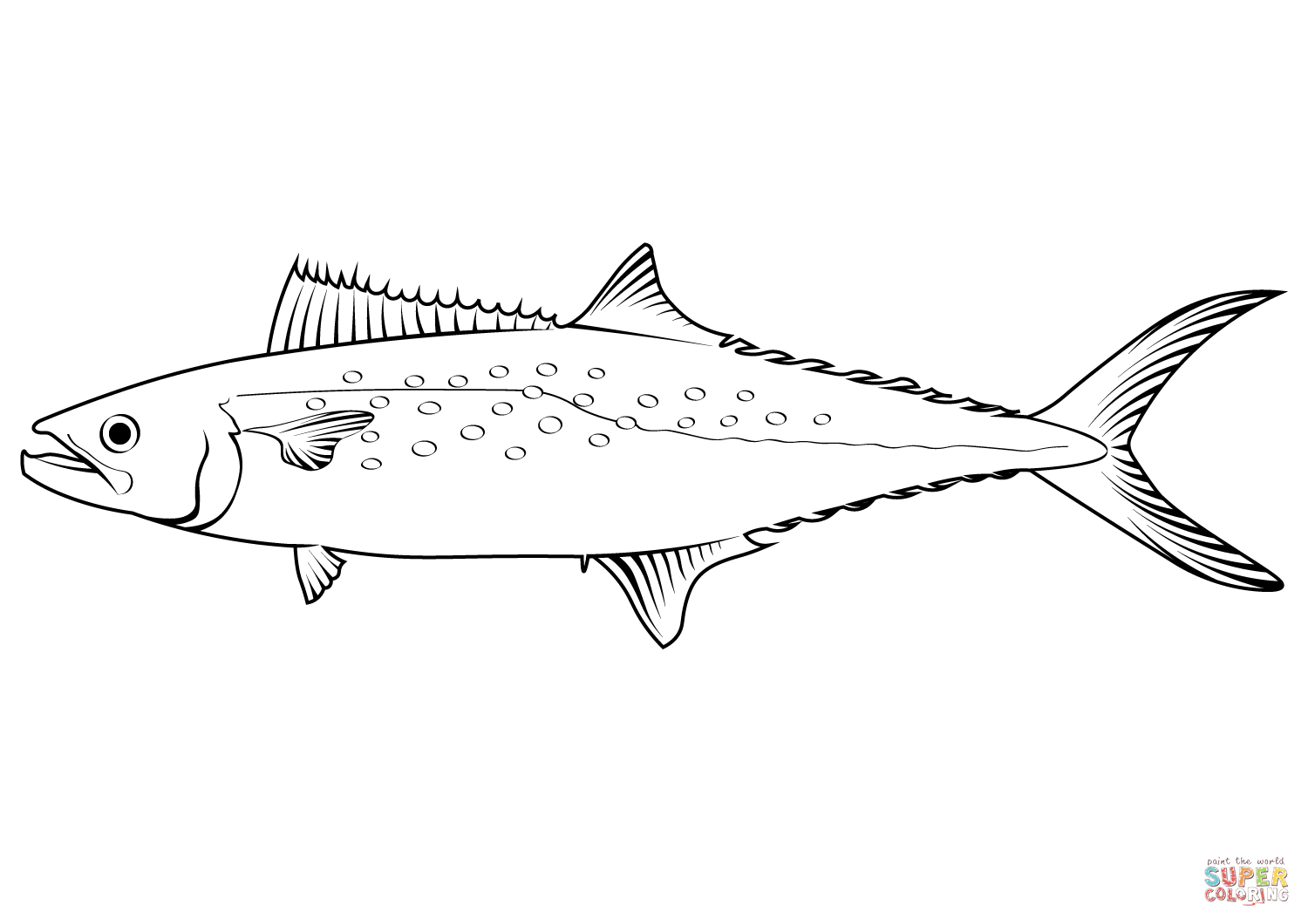 Atlantic spanish mackerel sberomorus maculatus coloring page free printable coloring pages