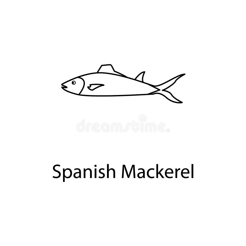 Spanish mackerel stock illustrations â spanish mackerel stock illustrations vectors clipart