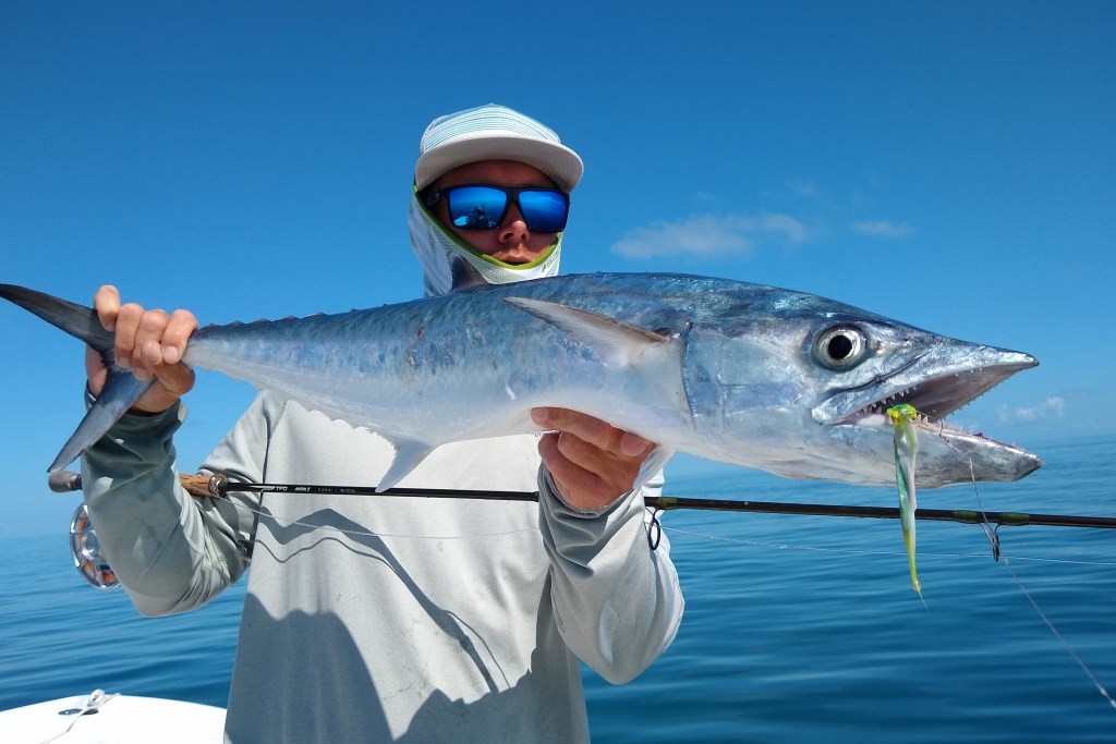 King and spanish mackerel