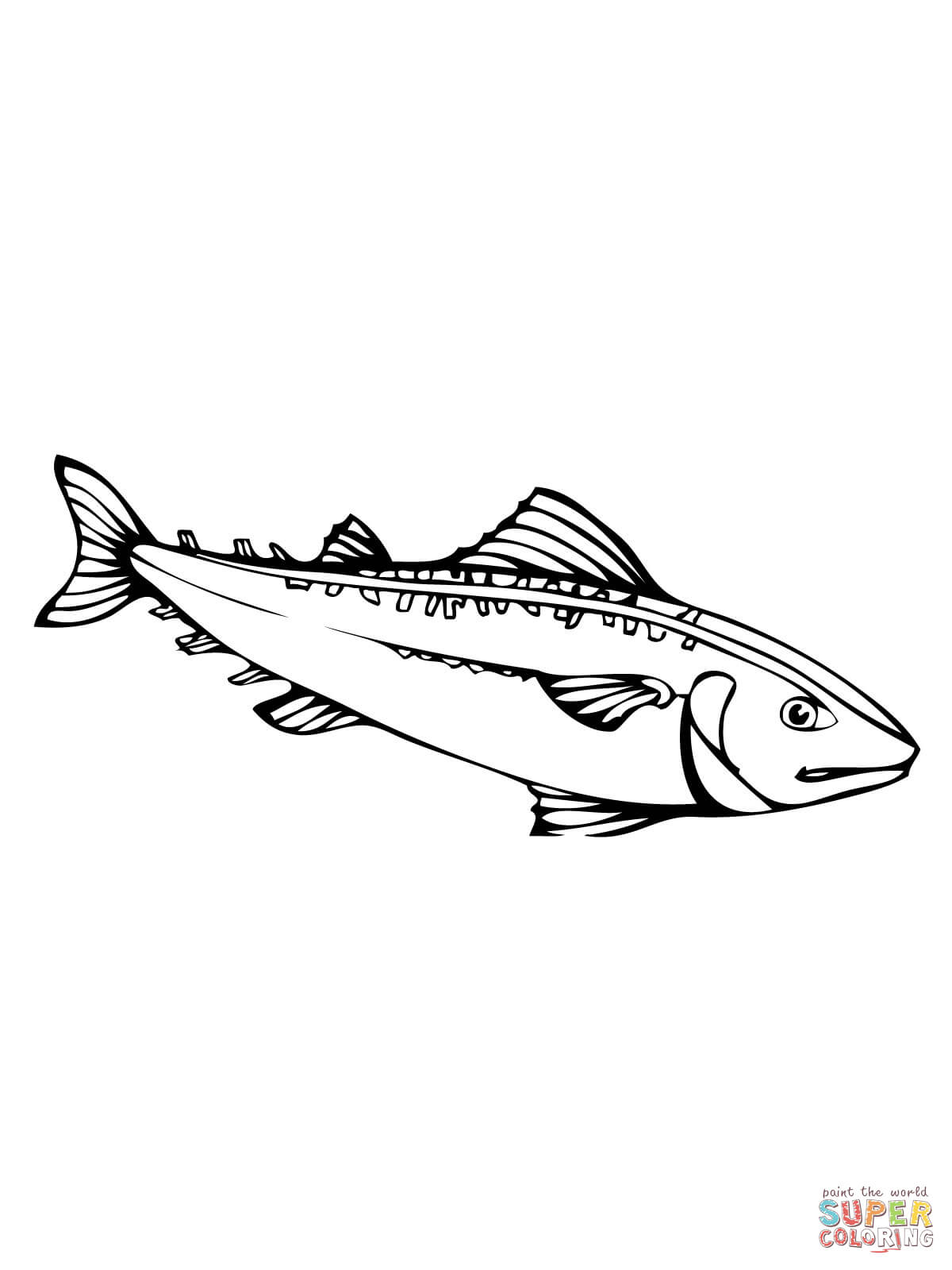 Mackerel fish coloring page free printable coloring pages