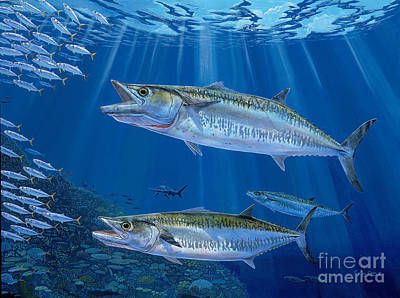 Spanish mackerel posters for sale