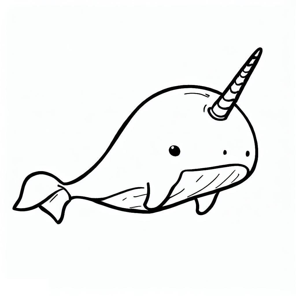 Narwhal coloring pages