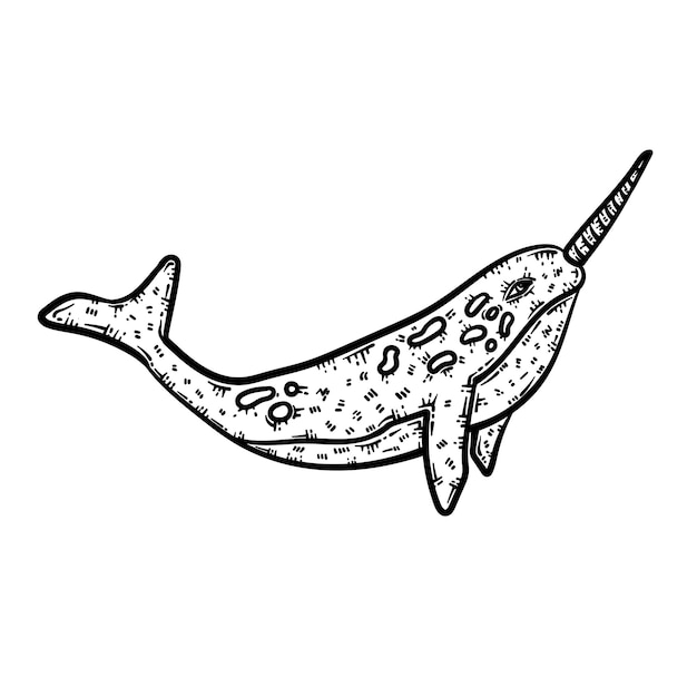 Premium vector narwhal animal coloring page for adults