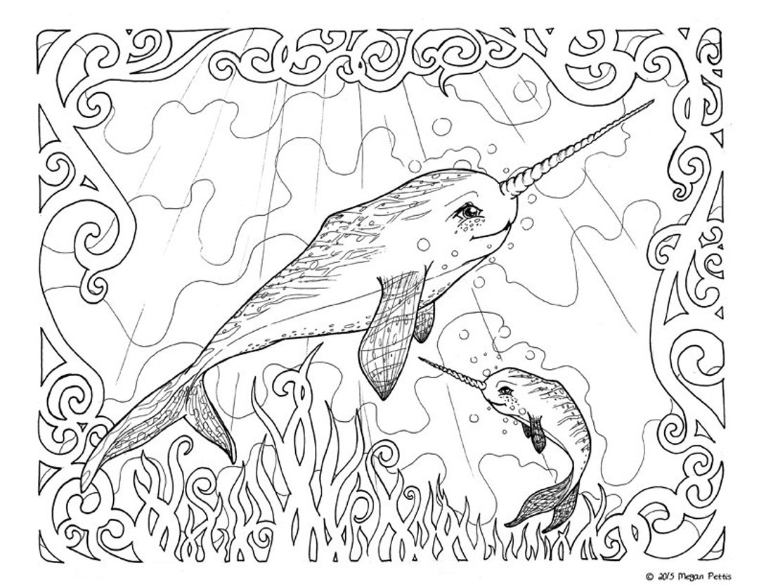 Narwhal family adult coloring book page whale unicorn instant download digital file under sea fantasy coloring page print and color download now