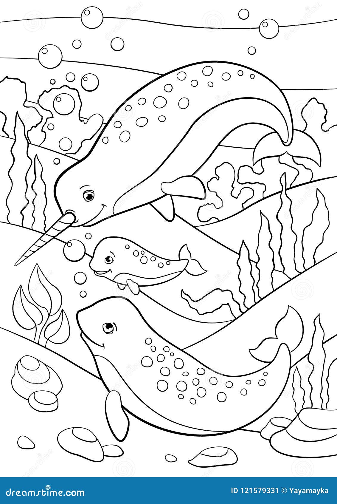 Coloring pages mother father and baby narwhals swim stock vector