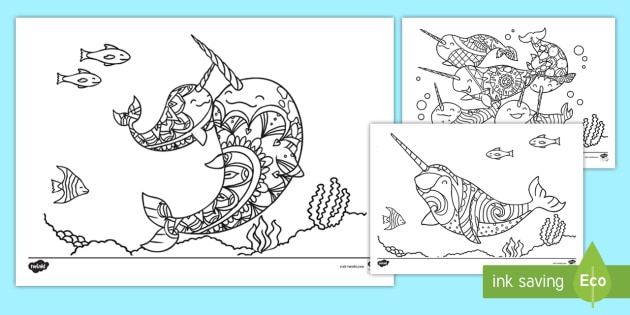 Cute narwhal colouring pages