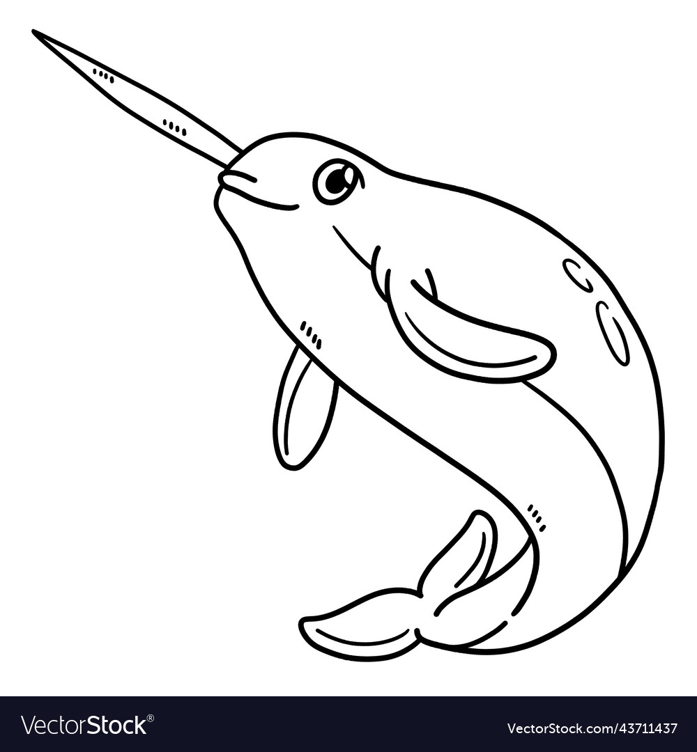 Narwhal isolated coloring page for kids royalty free vector