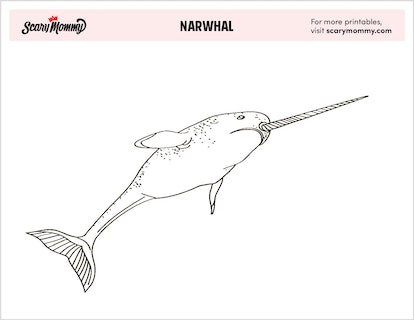 These narwhal coloring pages are proof narwhals are the coolest sea creatures