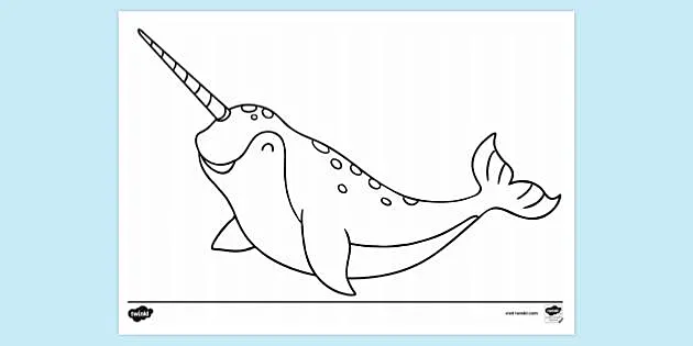 Narwhal louring sheet