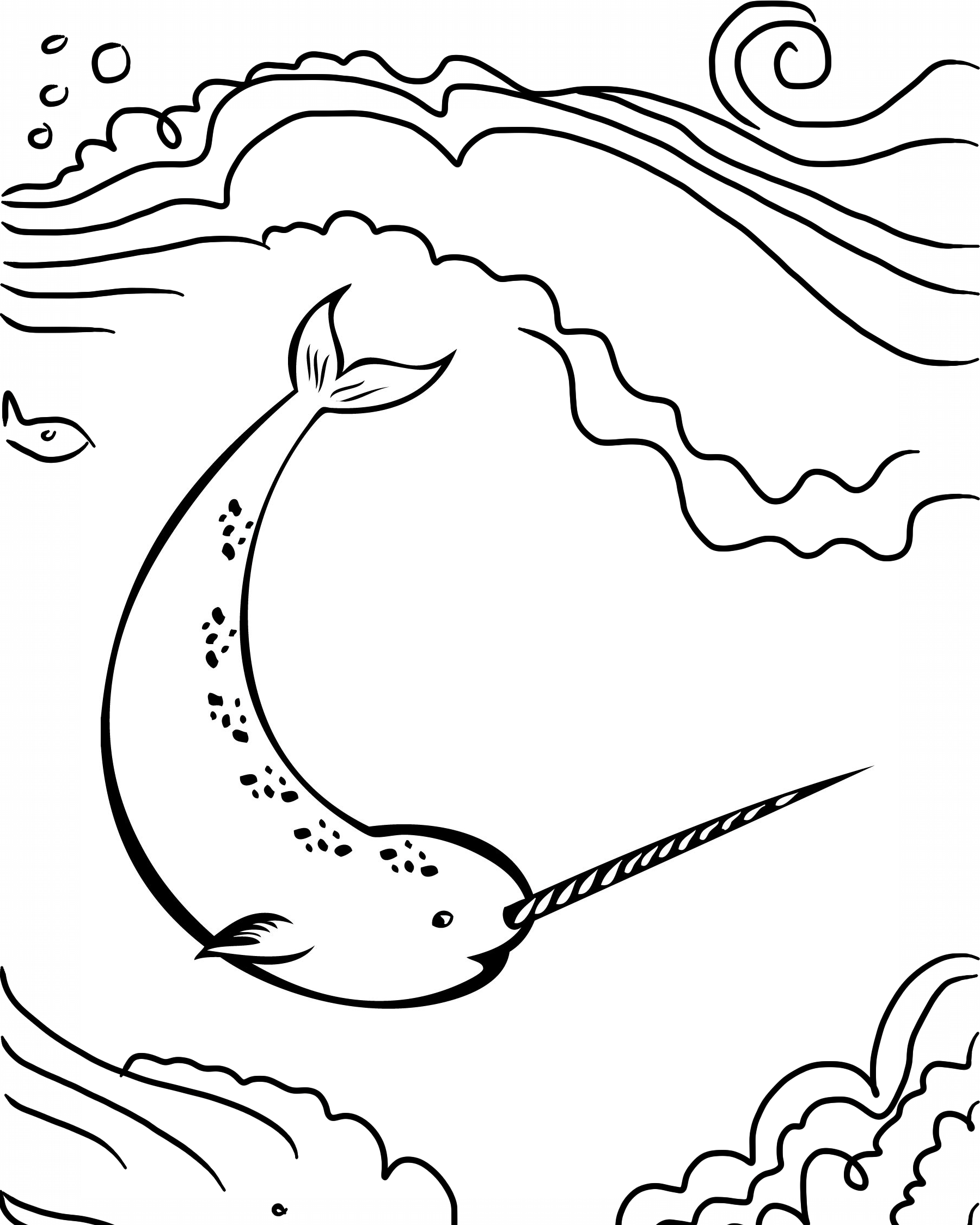 Narwhal coloring pages